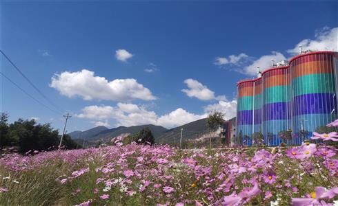 BIPV，讓水泥廠變花園！