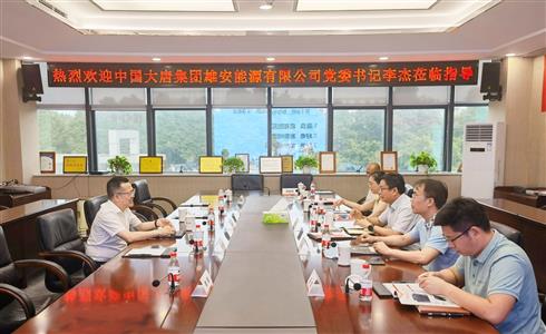 中國(guó)大唐集團(tuán)雄安能源有限公司黨委書記、董事長(zhǎng)李杰一行到成都中建材調(diào)研
