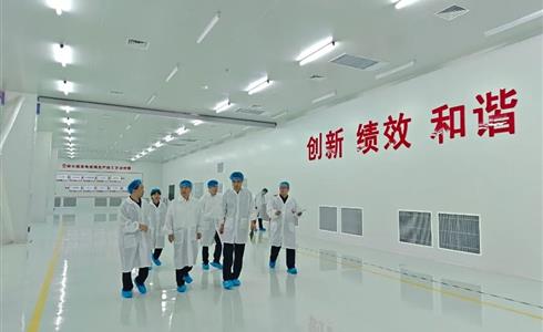 扎實(shí)開(kāi)展“雷霆行動(dòng)” 筑牢安全生產(chǎn)防線(xiàn) | 凱盛玻璃控股開(kāi)展節(jié)前安全生產(chǎn)大檢查